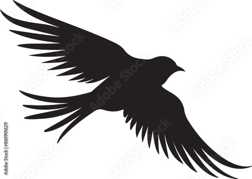 Swift Bird Silhouette Vector Illustration White Background
