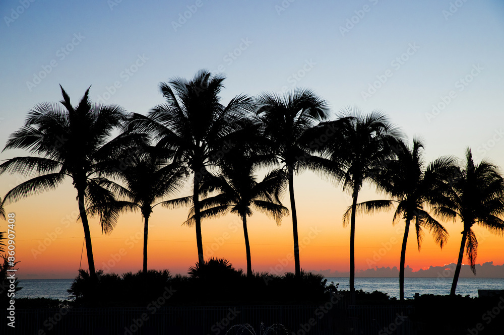 Obraz premium Miami, Florida. Tropical vacation spots