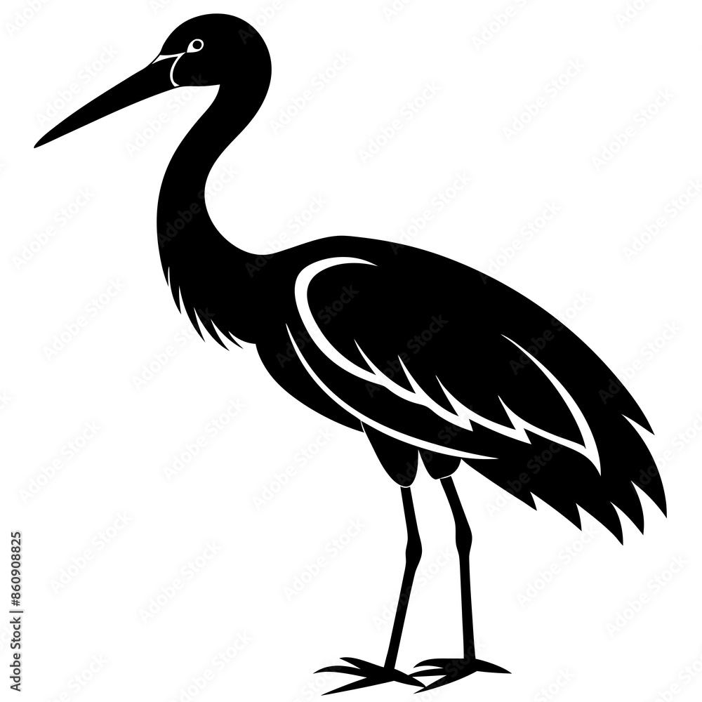 Obraz premium black crowned crane