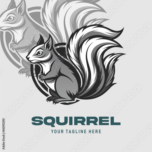 logo squirrel vector design s...