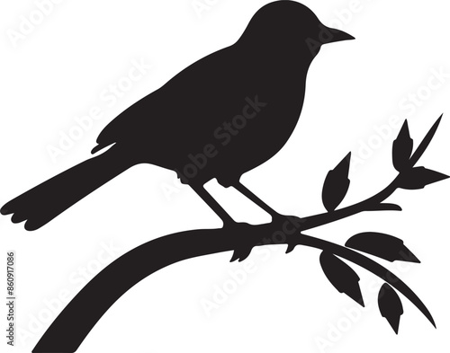 Bulbul Bird Silhouette Vector Illustration White Background