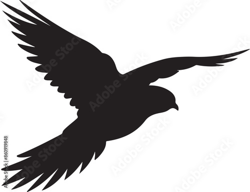 Nightjars Bird Silhouette Vector Illustration White Background