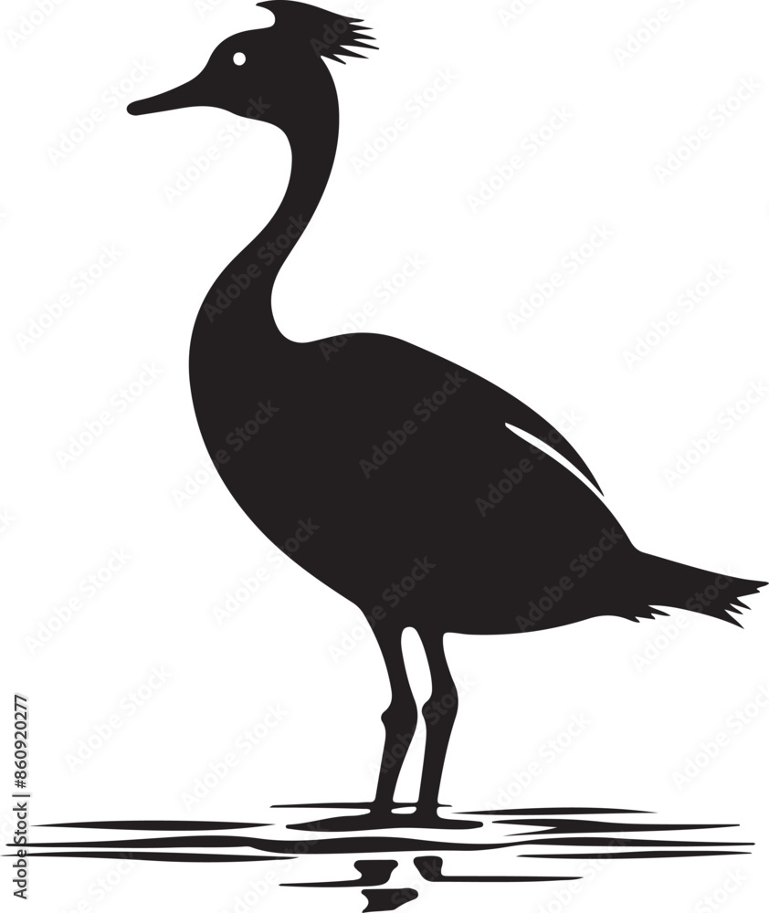 Grebes Bird Silhouette Vector Illustration White Background Grebes Bird Silhouette Vector Illustration White Background