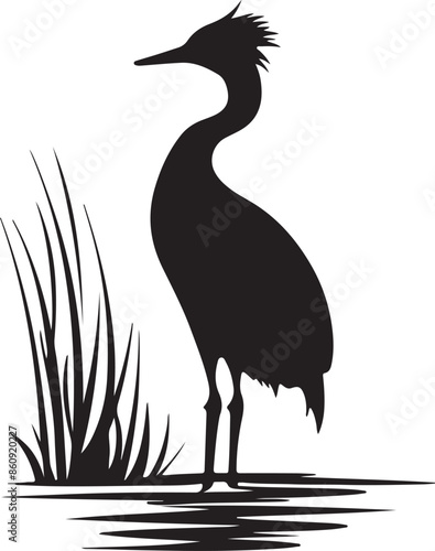 Grebes Bird Silhouette Vector Illustration White Background