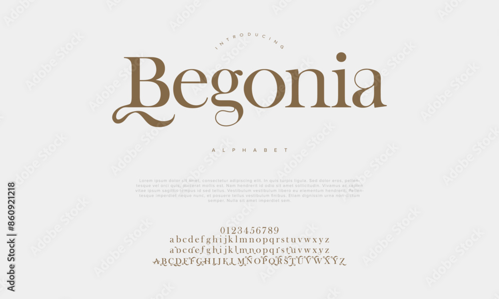 Begonia premium luxury elegant alphabet letters and numbers. Vintage wedding typography classic serif font decorative vintage retro. creative vector illustration Begonia premium luxury elegant alphabet letters and numbers. Vintage wedding typography classic serif font decorative vintage retro. creative vector illustration