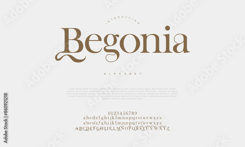 Begonia premium luxury elegant alphabet letters and numbers. Vintage wedding typography classic serif font decorative vintage retro. creative vector illustration