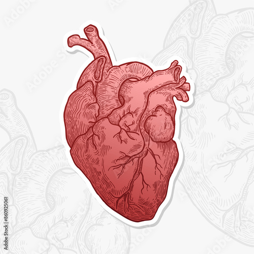 Heart hand drawn vector Illustration with Bright color . Isolated vector with vintage style