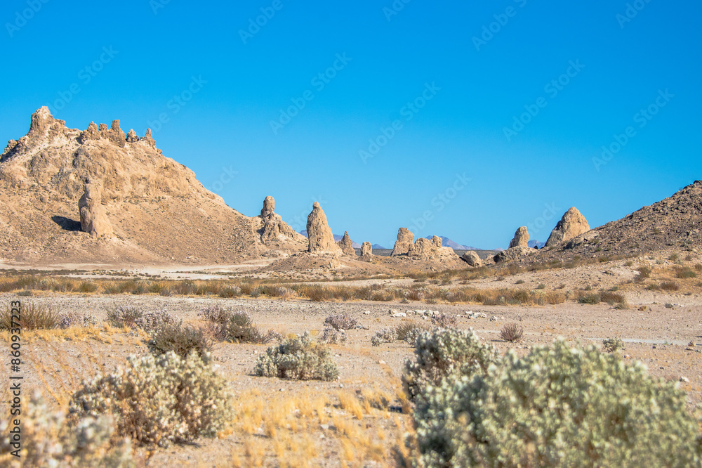 Fototapeta premium Trona Pinnacles 
