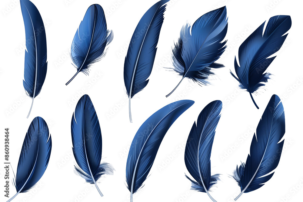 set of dark blue feathers isolated on transparent background set of dark blue feathers isolated on transparent background