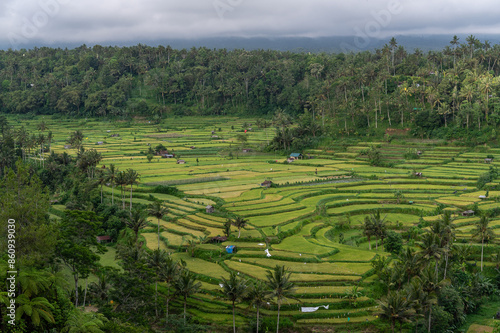 Photos Mahagiri Ricefield Terrace of Karangasem. Bali, Indonesia, Asia.