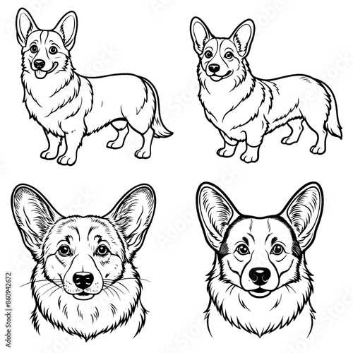 Pembroke Welsh Corgi  stencil line art vector illustratio, isolated on transparent background