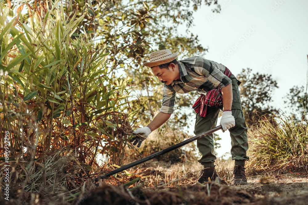 Before planting vegetables, gardeners use a hoe to clear weeds from the soil. Before planting vegetables, gardeners use a hoe to clear weeds from the soil.