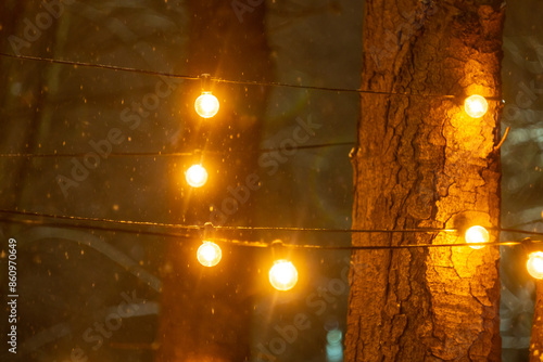 Christmas decorations on the street