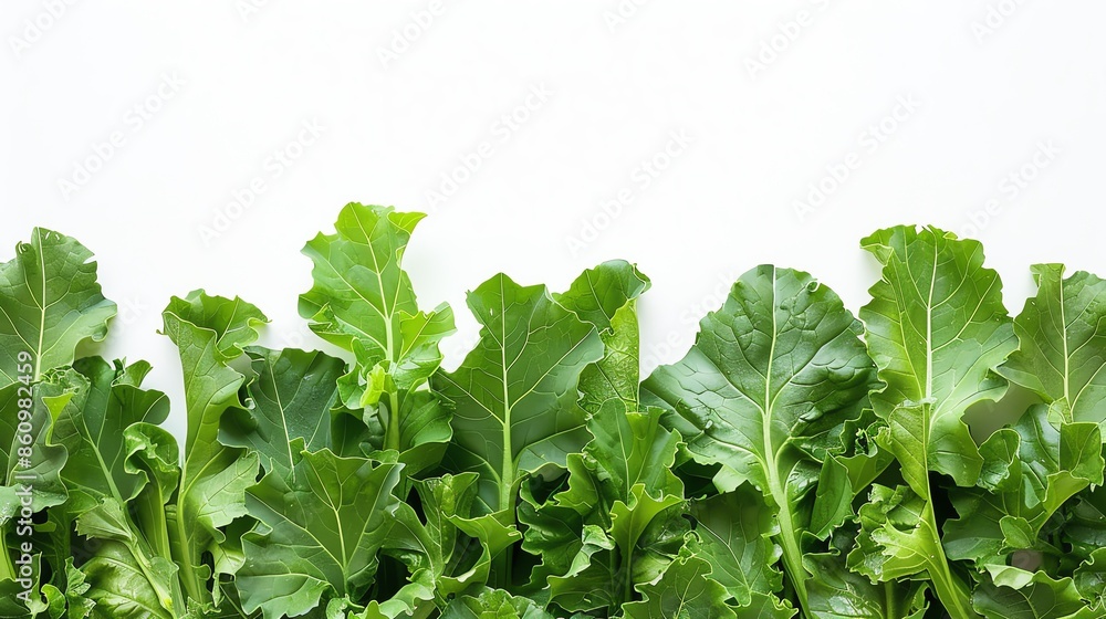 Lush turnip greens garden with vibrant green leaves, isolated on a white background, perfect for health and nutrition concepts, ample copy space for text Lush turnip greens garden with vibrant green leaves, isolated on a white background, perfect for health and nutrition concepts, ample copy space for text