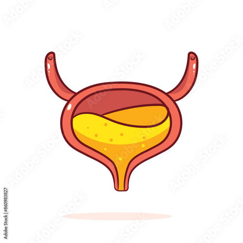 Human Bladder Organ Cartoon. Human anatomy biology organ body system. Health care and medical  education object concept design. Hand drawn cartoon icon vector illustration
