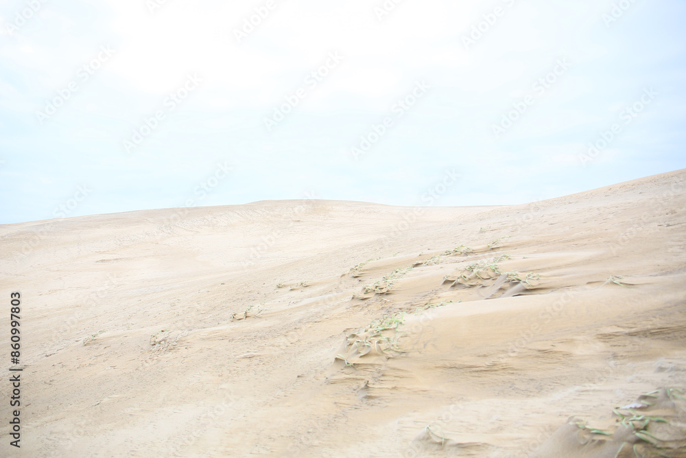 landscape background of sand dunes Tottori Sakyu, Japan landscape background of sand dunes Tottori Sakyu, Japan