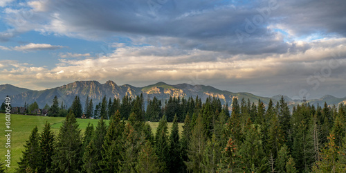 Tatra Mountain range Panorama with forest in foreground near Zakopane, Poland