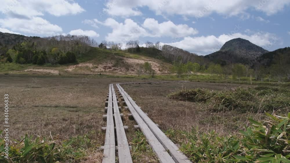 田ノ原湿原の木道