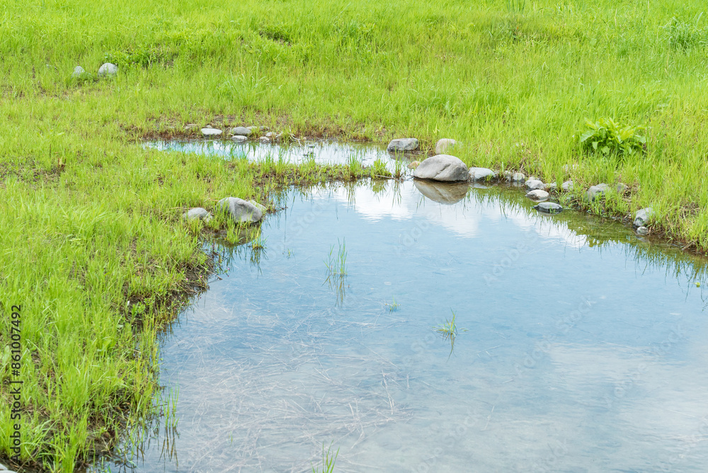 Fototapeta premium 空が写り込んだ大きな水たまり