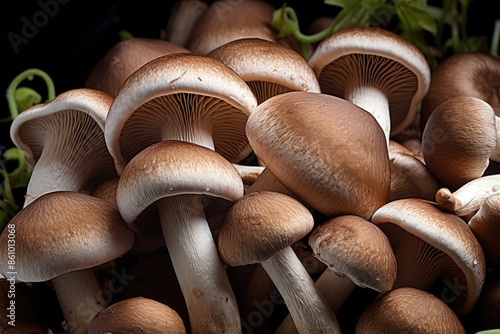 Decorative mushrooms exhibit a captivating pattern, presenting an enchantment of the fungi kingdom. photo