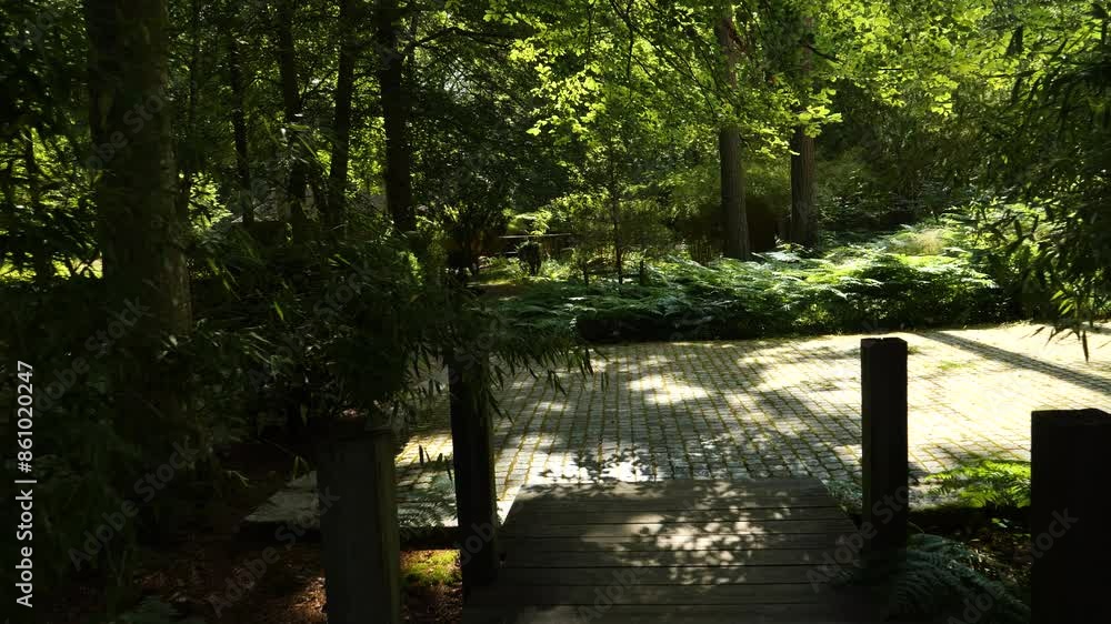 A serene walkway through a lush Japanese garden bathed in sunlight at Ronneby Brunnspark A serene walkway through a lush Japanese garden bathed in sunlight at Ronneby Brunnspark