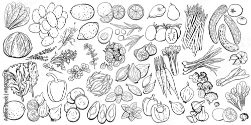 Vegetables and Fruits Outline Set. Vector Illustration in black lines on white. Broccoli, onion, leek, tomato, garlic, carrots, pears, bell peppers, cabbage, potatoes, asparagus, celery, apple for far