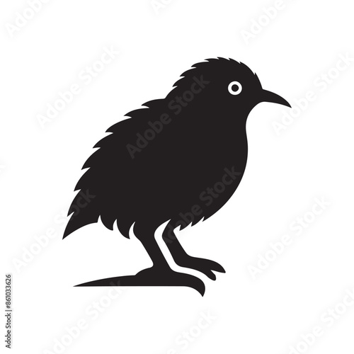 kiwi bird silhouette vector © Shajamal