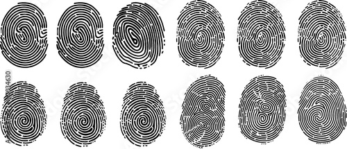 fingerprint vector set. identity biometric system. Security id verification human. Vector fingerprint collection.
