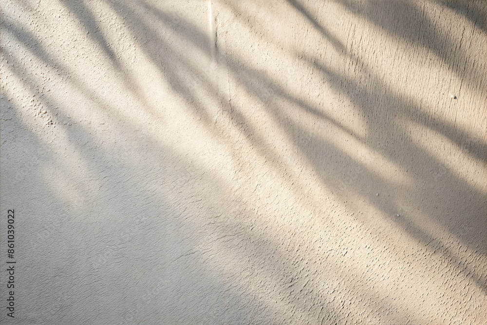 Fototapeta premium Soft Shadows on Light Gray Wall Background 