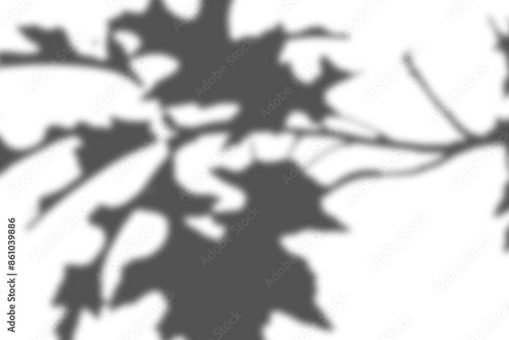 Leaf shadow overlay effect. Background with tropical leaves shadows Leaf shadow overlay effect. Background with tropical leaves shadows