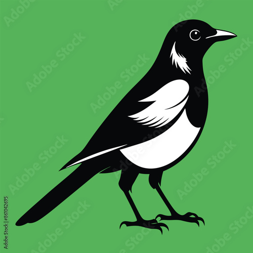 Magpie bird black and white Silhouette Art. Oriental magpie robin bird design on white background. Easy editable layered illustration. Wild Animals. photo