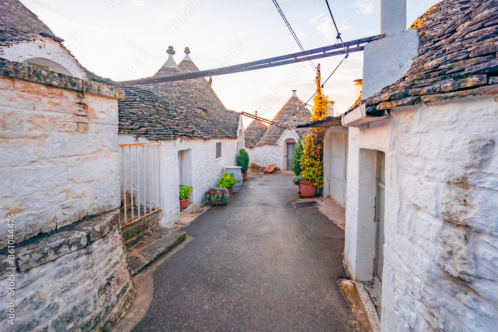 Trulli of Alberobello, Puglia, Italy. town of Alberobello with trulli houses among green plants and flowers Trulli of Alberobello, Puglia, Italy. town of Alberobello with trulli houses among green plants and flowers