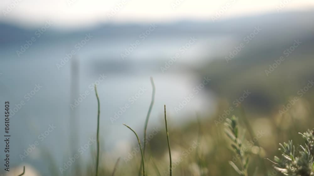 A blurry image of a body of water with grass in the foreground A blurry image of a body of water with grass in the foreground