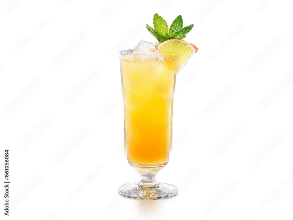 Navy Grog A sleek glass with pale amber liquid mint sprig and ice cone with Navy Grog A sleek glass with pale amber liquid mint sprig and ice cone with