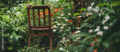 Wood chair in the flowers g...