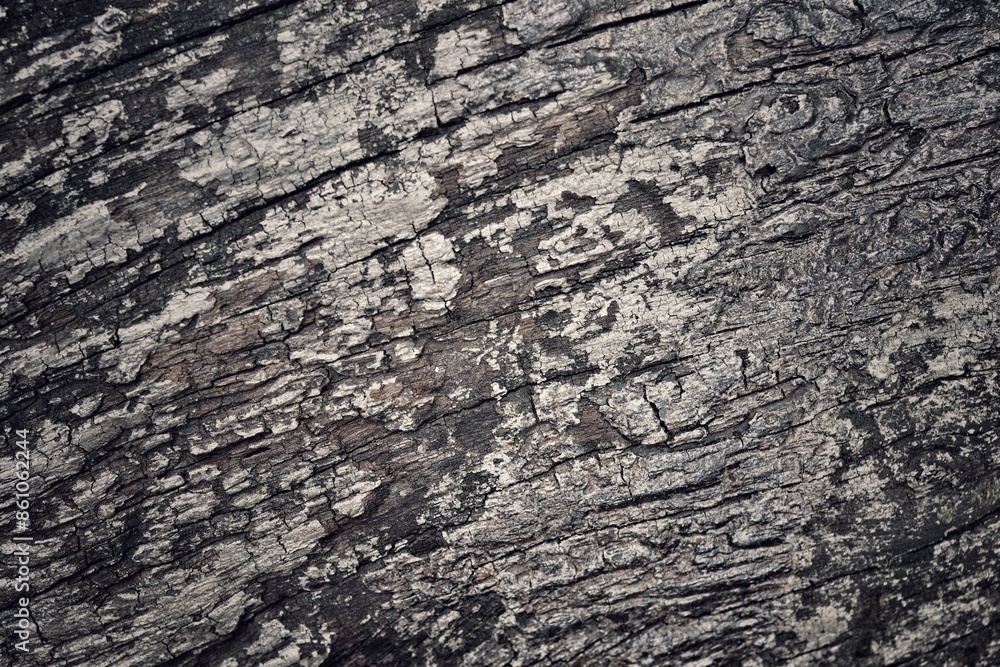 Fototapeta premium Brown wood background or texture