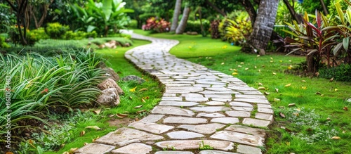 Landscaping in the garden. ...