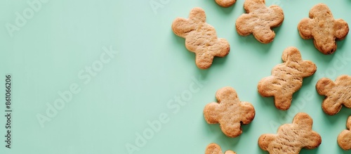 Delicious of dog biscuit , ...