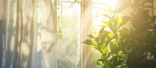Bright morning sun in the o...