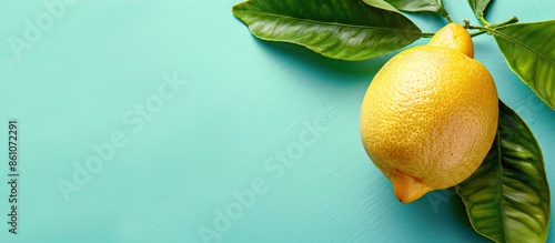 Sicilian lemon with leaves ...