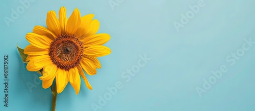 young orange yellow flower ...