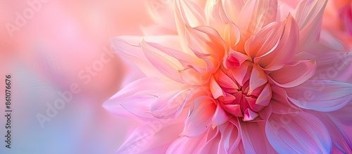 Beautiful closeup of a bud ...