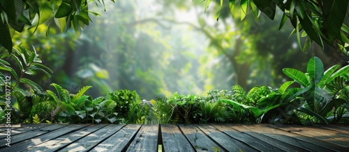 Asian tropical rainforest. ...