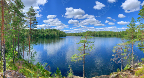 Fototapeta Naklejka Na Ścianę i Meble -  wilderness lake and forest summer scenery with blue water and sky with white clouds