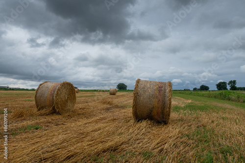 Obraz na płótnie Hay bales w salonie