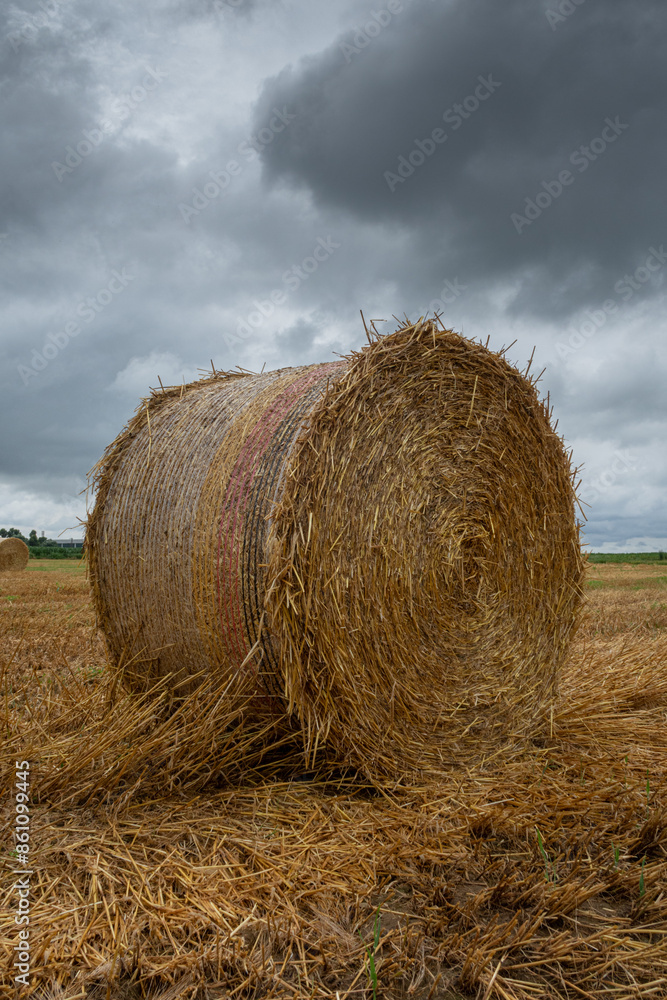 Hay bales