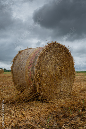 Obraz na płótnie Hay bales w salonie