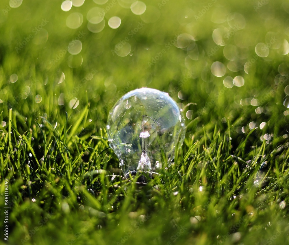 Green energy light bulb in grass Green energy light bulb in grass