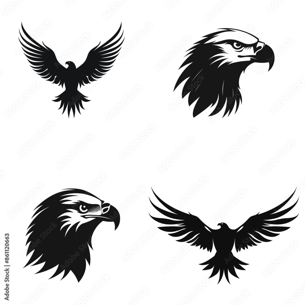 Fototapeta premium eagle with wings