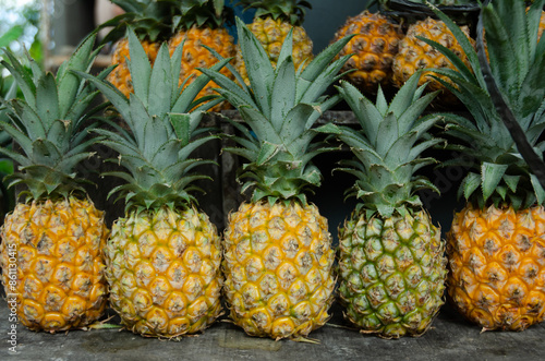 Fresh pineapple fruit commodities at the fruit market, fresh fruit from farmers, pineaplle isolated for background